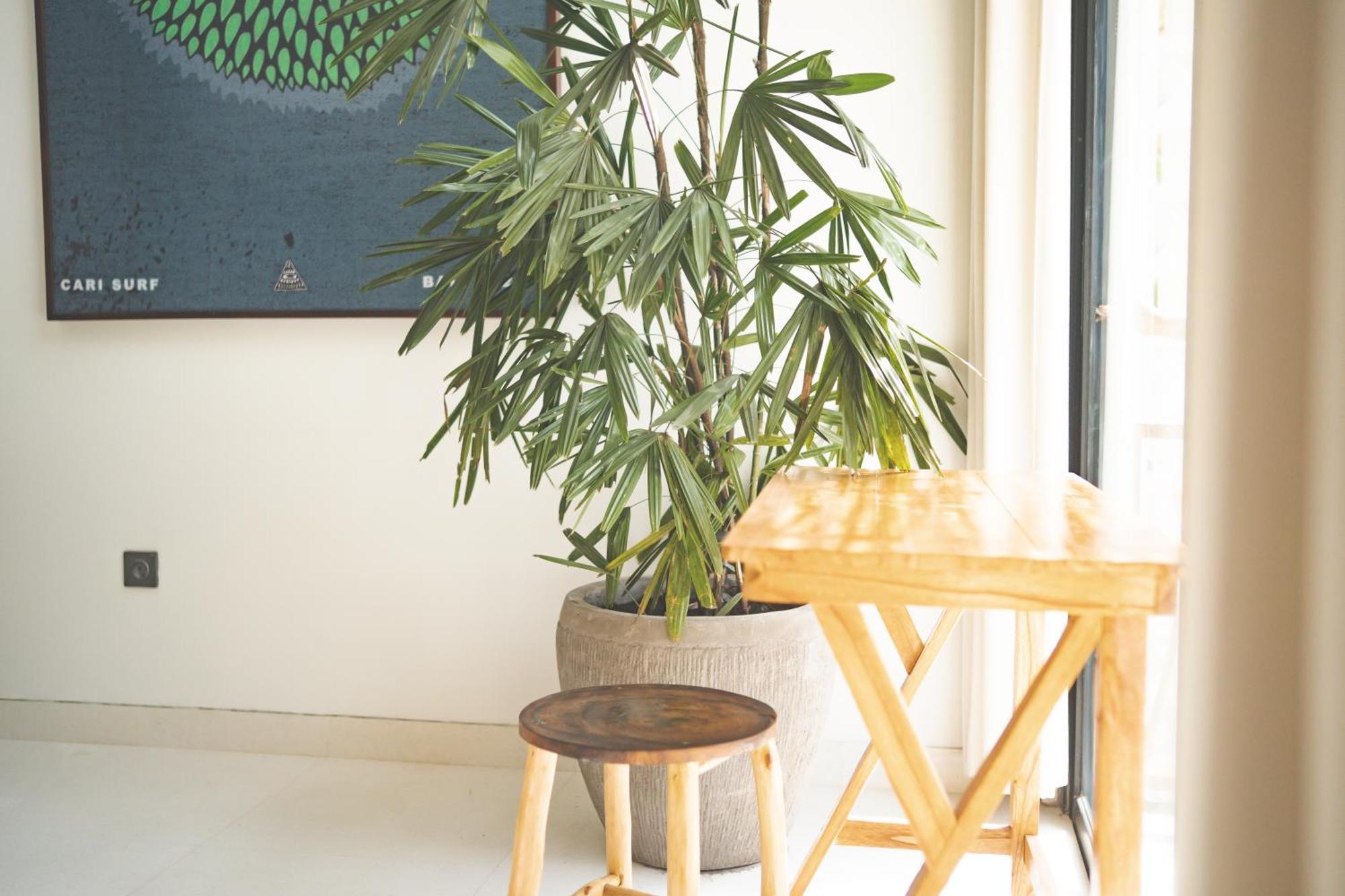 Cari Surf Camp & Studio'S Uluwatu  Phòng bức ảnh