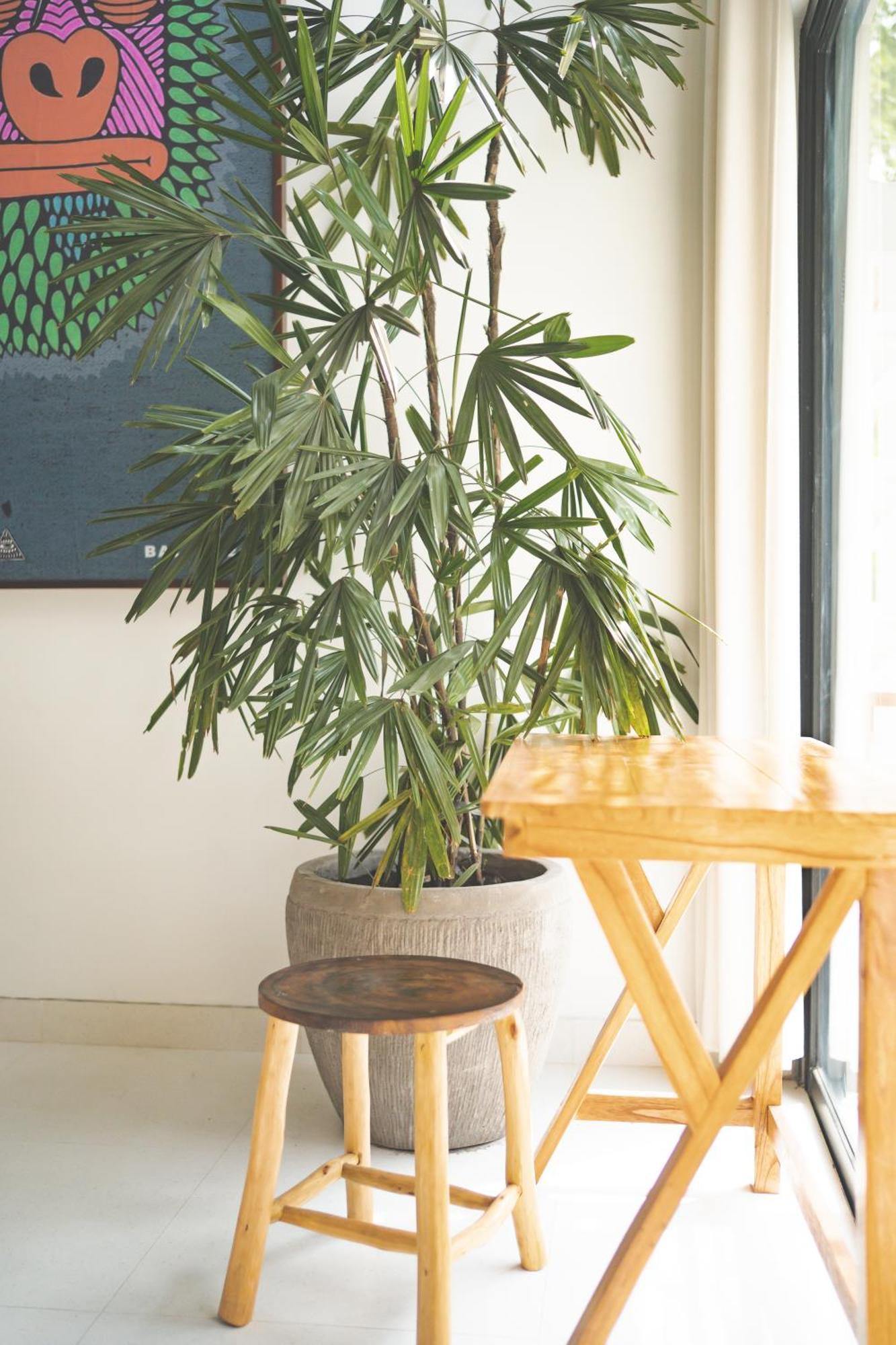 Cari Surf Camp & Studio'S Uluwatu  Phòng bức ảnh